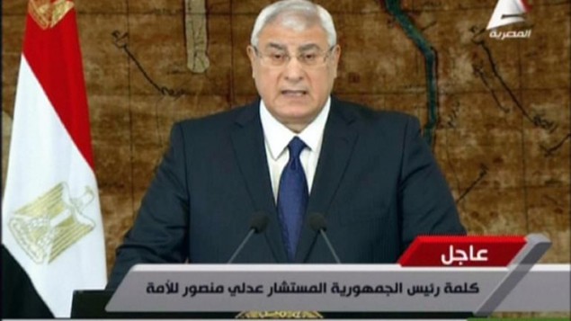 الرئيس المصري المؤقت علي منصور في لقطة عن شاشة التلفزيون المصري 26 يناير 2014 (التلفزيون المصري / أ ف ب)