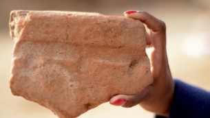 احدى القطع الأثرية التي اكتشفت داخل مصنع الجعة المصري القديم  الذي وجد في وسط مدينة تل أبيب (مقدمة من دائرة الأثار الاشرائيلية)