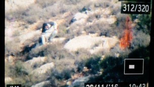 تصوير يظهر ما يبدو كرجل فلسطيني يشعل النار في حقل بالقرب من بتير المجاورة لمدينة بيت لحم في الضفة الغربية، 26 نوفمبر 2016 (Parks Authority)