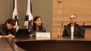 عضو الكنيست كارين الهرار تترأس جلسة للجنة مراقب الدولة في الكنيست للتعامل مع الاحتيال بالخيارات الثنائية، 2 يناير 2016 (Luke Tress/ Times of Israel)