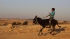 طفل بدوي يمتطي حمارا في قرية أم الحيران في النقب، 19 ديسمبر، 2013. (Yaakov Naumi/Flash90) 