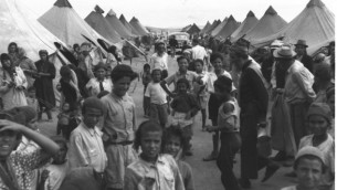مهاجرين يمنيين في مخيم بالقرب من عين شيمر في عام 1950 (Pinn Hans/GPO)