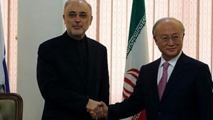 المدير العام للوكالة الدولية للطاقة الذرية يوكيا امانو يصافح مدير منظمة الطاقة الذرية الإيراني علي اكبر صالحي، خلال لقائهما في طهران، 11 نوفمبر 2013 (AFP/File Atta Kenare)