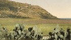 جبال الكرمل كما تظهر من الشمال  ( photo credit: © DEIAHL, Jerusalem)