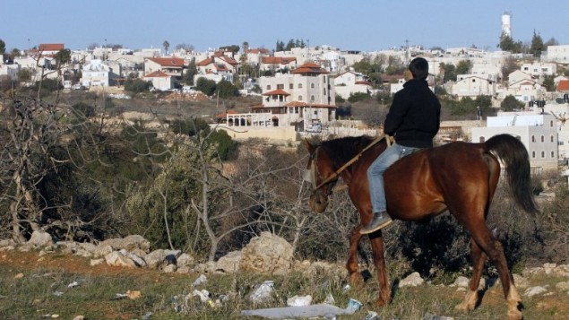 صورة التقطت في مدينة الخليل في الضفة الغربية، تظهر فتى فلسطيني يركب الخيل مع مستوطنة جفعات هارسينا في الخلفية، 6 فبراير 2017 (AFP PHOTO / HAZEM BADER)