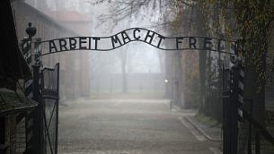 auschwitz-e1517157513492-400x250