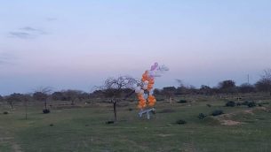 WhatsApp-Image-2019-02-20-at-17.38.16-640x400