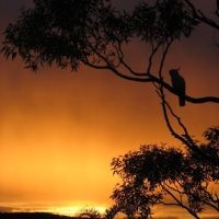 Sunset on Sydney's northern beaches in October 2009. Photo entered by Michele Darmanin of Wheeler Heights, NSW. Sunset on Sydney's northern beaches in October 2009. Photo entered by Michele Darmanin of Wheeler Heights, NSW.