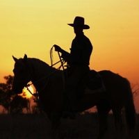 A drover on Ulcanbah Station, Clermont, Queensland, in September 2009. Photo entered by Paula Heelan of Clermont, Queensland. A drover on Ulcanbah Station, Clermont, Queensland, in September 2009. Photo entered by Paula Heelan of Clermont, Queensland.