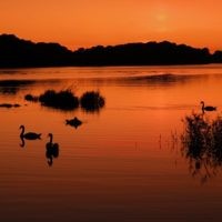 Sunset at Loch Leane, Killarney, Ireland in August 2009. Photo entered by Vicki Sullivan of Rye, Victoria. Sunset at Loch Leane, Killarney, Ireland in August 2009. Photo entered by Vicki Sullivan of Rye, Victoria.