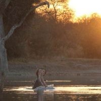 Kimberly Ikin of Cammeray, NSW, entered this photo taken in September 2010.