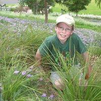 Melissa Morris of East Brighton, Victoria, entered this photo of her son Ashley at Point Cook in December 2010. Melissa Morris of East Brighton, Victoria, entered this photo of her son Ashley at Point Cook in December 2010.