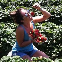 Yael Rothschild of Caulfield, Victoria entered this photo of Shari Rothschild enjoying freshly picked strawberries at Sunny Ridge Strawberry Farm in January 2011. Yael Rothschild of Caulfield, Victoria entered this photo of Shari Rothschild enjoying freshly picked strawberries at Sunny Ridge Strawberry Farm in January 2011.