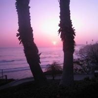 Abie Munz of St Kilda East, Victoria entered this photo taken at Pismo Beach, California in March 2010.