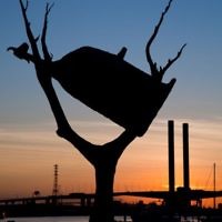 Greg Berlin of Abbotsford, Victoria, took this photo in Melbourne with the Bolte bridge in the background in October 2010.