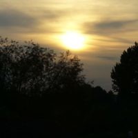 Leonie Lilienfeld of Chifley entered this photo taken on the Rhine River in September 2010.