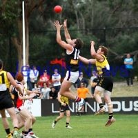 17-9-11. AJAX  defeats Werribee in the C Section grand final at Trevor Barker Oval, Sandringham.   Photo: Peter Haskin