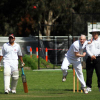9-10-11. Maccabi Cricket v RMIT. David Majtlis. Photo: Peter Haskin 9-10-11. Maccabi Cricket v RMIT. David Majtlis. Photo: Peter Haskin