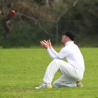 9-10-11. Maccabi Cricket v RMIT. Photo: Peter Haskin 9-10-11. Maccabi Cricket v RMIT. Photo: Peter Haskin