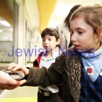 9-5-12. Lag B'omer 2012. Chabad Youth activities at the Yeshivah Centre. Photo: Petr Haskin