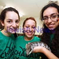 9-5-12. Lag B'omer 2012. Chabad Youth activities at the Yeshivah Centre. Photo: Peter Haskin