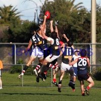 21-7-212. AJAX v Old Brighton at Brighton Beach Oval. Photo: Peter Haskin