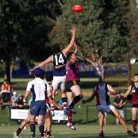 11-5-13. AJAX defeated Old Haileybury at Princes Park, Caulfield.  Photo: Peter Haskin
