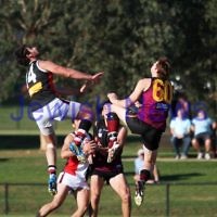 11-5-13. AJAX defeated Old Haileybury at Princes Park, Caulfield.  Photo: Peter Haskin