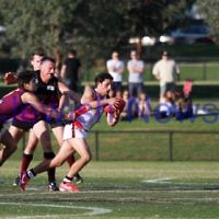 11-5-13. AJAX defeated Old Haileybury at Princes Park, Caulfield.  Photo: Peter Haskin