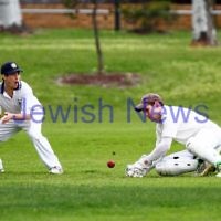 6-10-13. Maccabi Ajax Cricket Club First XI v South Yarra. Opening game of the season.  Photo: Peter Haskin