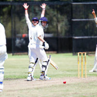 26-1-14. Maccabi Cricket First XI v Sth Yarra. Gary Smorgon Oval. Brad Majtlis. Photo: Peter Haskin 26-1-14. Maccabi Cricket First XI v Sth Yarra. Gary Smorgon Oval. Brad Majtlis. Photo: Peter Haskin