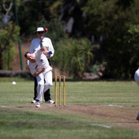 2-2-14. Maccabi Cricket First XI v South Yarra. Gary Smorgon Oval. Photo: Peter Haskin 2-2-14. Maccabi Cricket First XI v South Yarra. Gary Smorgon Oval. Photo: Peter Haskin