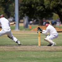 2-2-14. Maccabi Cricket First XI v South Yarra. Gary Smorgon Oval. Photo: Peter Haskin 2-2-14. Maccabi Cricket First XI v South Yarra. Gary Smorgon Oval. Photo: Peter Haskin