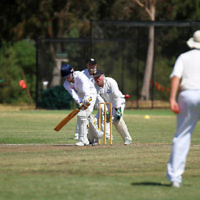 2-2-14. Maccabi Cricket First XI v South Yarra. Gary Smorgon Oval. Photo: Peter Haskin 2-2-14. Maccabi Cricket First XI v South Yarra. Gary Smorgon Oval. Photo: Peter Haskin