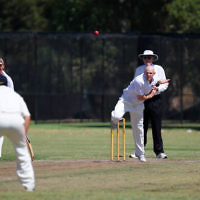 2-2-14. Maccabi Cricket First XI v South Yarra. Gary Smorgon Oval. Photo: Peter Haskin 2-2-14. Maccabi Cricket First XI v South Yarra. Gary Smorgon Oval. Photo: Peter Haskin