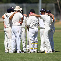 2-2-14. Maccabi Cricket First XI v South Yarra. Gary Smorgon Oval. Photo: Peter Haskin 2-2-14. Maccabi Cricket First XI v South Yarra. Gary Smorgon Oval. Photo: Peter Haskin