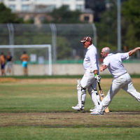 2-2-14. Maccabi Cricket First XI v South Yarra. Gary Smorgon Oval. Photo: Peter Haskin 2-2-14. Maccabi Cricket First XI v South Yarra. Gary Smorgon Oval. Photo: Peter Haskin