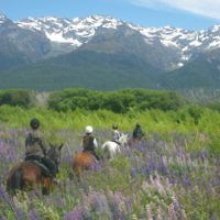 Danny Adler and his family go riding in Glenorchy in New Zealand’s South Island. Danny Adler and his family go riding in Glenorchy in New Zealand’s South Island.
