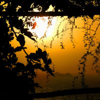 Dovi Broner entered this sunset photo taken near Positano, Italy. Dovi Broner entered this sunset photo taken near Positano, Italy.