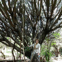 Linda Reitzin entered this photo of her friend Chris standing in front of a giant cactus at Masai Mara Sopa Lodge, Kenya in June 2014.