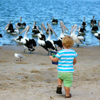 Luana Goriss entered this photo of her my nephew, Dexter, at Labrador beach on the Gold Coast. Luana Goriss entered this photo of her my nephew, Dexter, at Labrador beach on the Gold Coast.