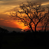 Robert Sward entered this photo taken at sunset in South Africa.
