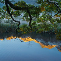Ruth Goldwasser entered this photo taken at sunrise overlooking the Mirror Lakes in the South Island of New Zealand in April 2014.