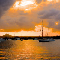 Elaine Lopis entered this photo taken at sunset at Noosa Woods, Noosa. Elaine Lopis entered this photo taken at sunset at Noosa Woods, Noosa.
