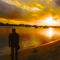 Elaine Lopis entered this photo taken at sunset at Noosa Woods, Noosa. Elaine Lopis entered this photo taken at sunset at Noosa Woods, Noosa.