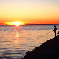Rochelle Herz entered this sunset photo.
