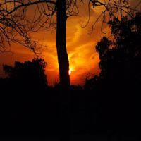 Sue Werman entered this sunset photo. Sue Werman entered this sunset photo.