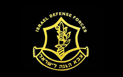 The Light for Peace campaign this Chanukah will raise funds for the IDF.