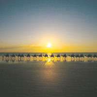 2009-10 sunrise/sunset winner: Sunset at Cable Beach in Broome  taken by Alex Smith.