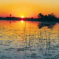 2013-14 sunrise/sunset winner: Okavango Delta, Botswana taken by Steven Curtis.